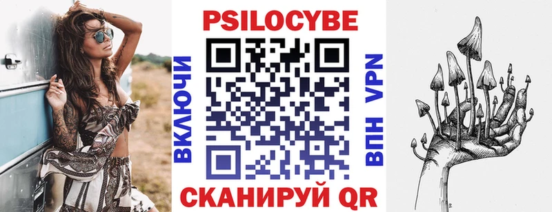Галлюциногенные грибы Psilocybine cubensis  shop клад  Губаха 
