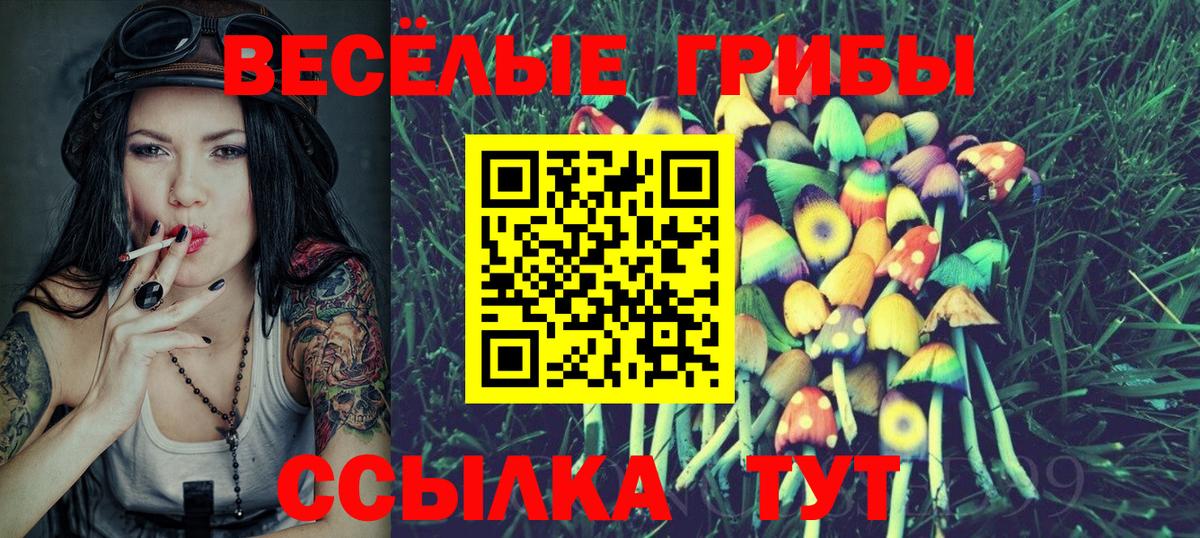 Галлюциногенные грибы Psilocybine cubensis  Вход с VPN  Губаха 