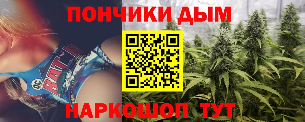 Каннабис конопля Губаха